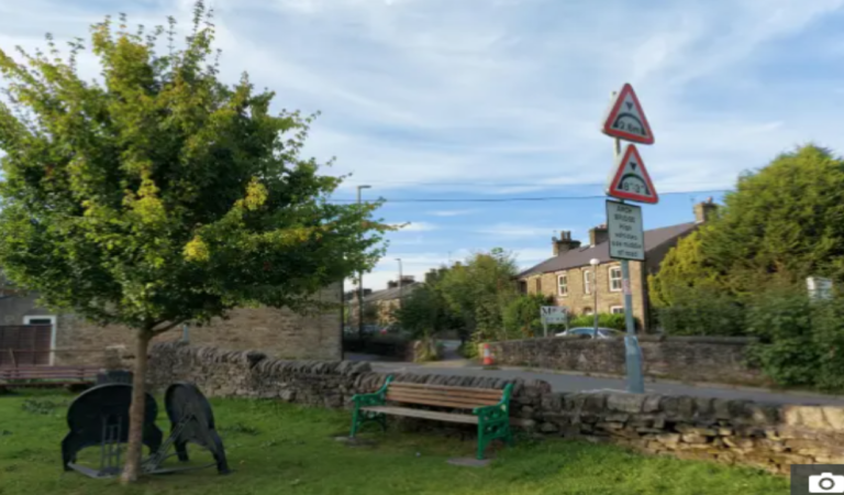 Can you spot the cat chilling on this village green in 10 seconds?