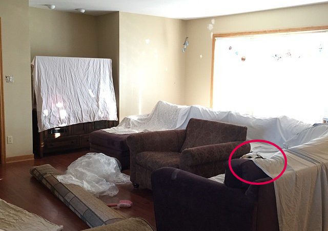 Can you spot the hidden dog in this room in less than 30 seconds?