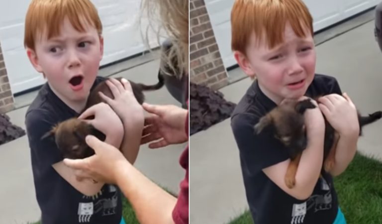 Young Boy Cries Tears Of Joy When His Family Surprised Him With Puppy