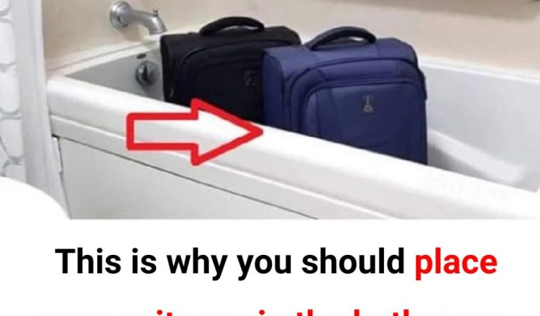 Why Should You Place Your Luggage in the Bathroom Right After Checking into a Hotel Room?