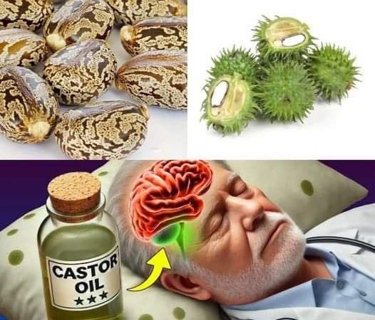 Castor Oil: Discover the Transformative Effects After Just 7 Days