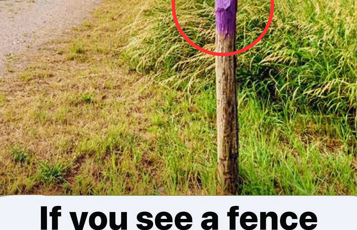 If You See A Fence Painted Purple, You Better Know What It Means – Knowing This Can Save Your Life