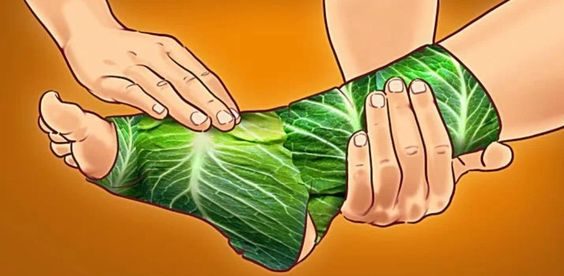 Cabbage Foot Wraps: Unveiling Surprising Results for Your Health!