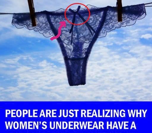 Why Women’s Underwear Have A Bow On Front