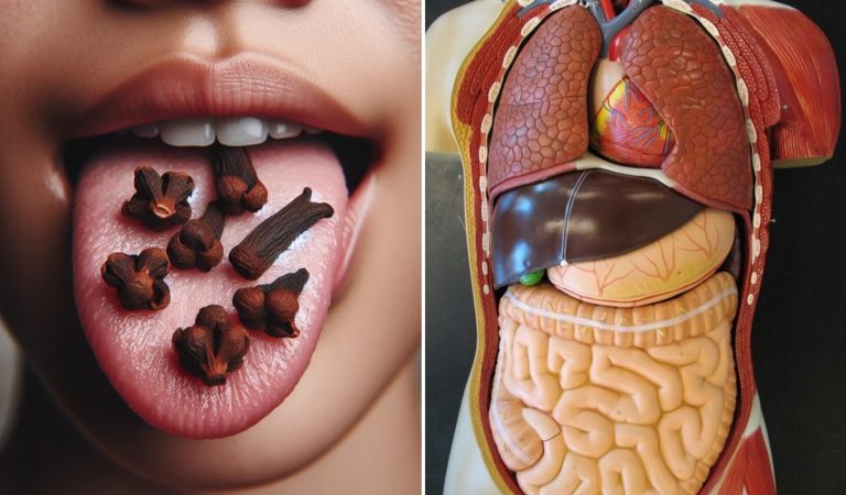 Chewing Cloves Daily: A Tiny Habit with Massive Health Benefits