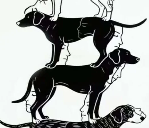 How Many Hidden Faces Can You See in This Picture?
